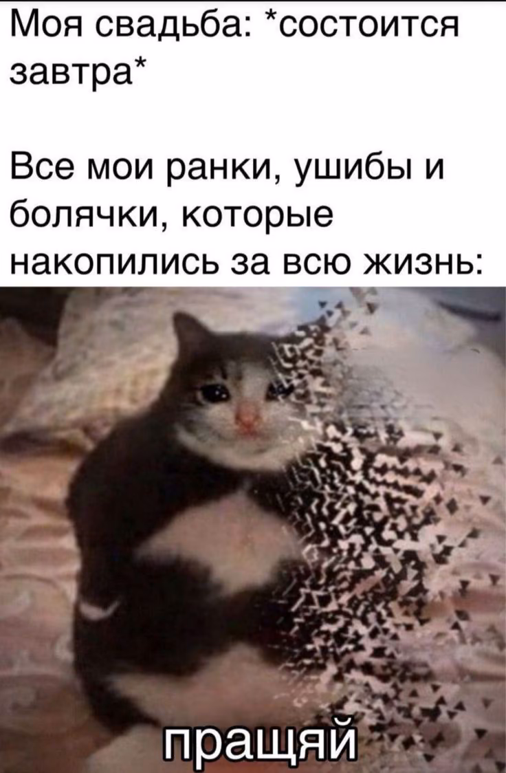 73b12f2c876720372ff8e8c3425a7fe8.avif