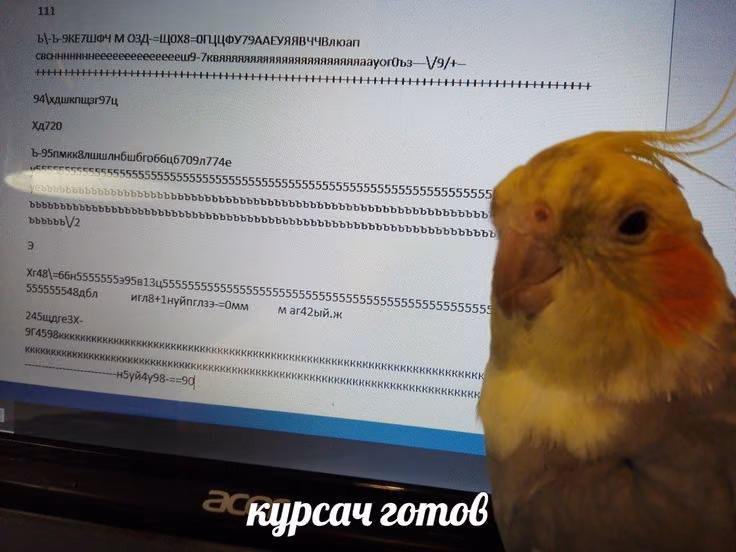 73b37d559fd2d0beab0bdd1fb906451c.avif