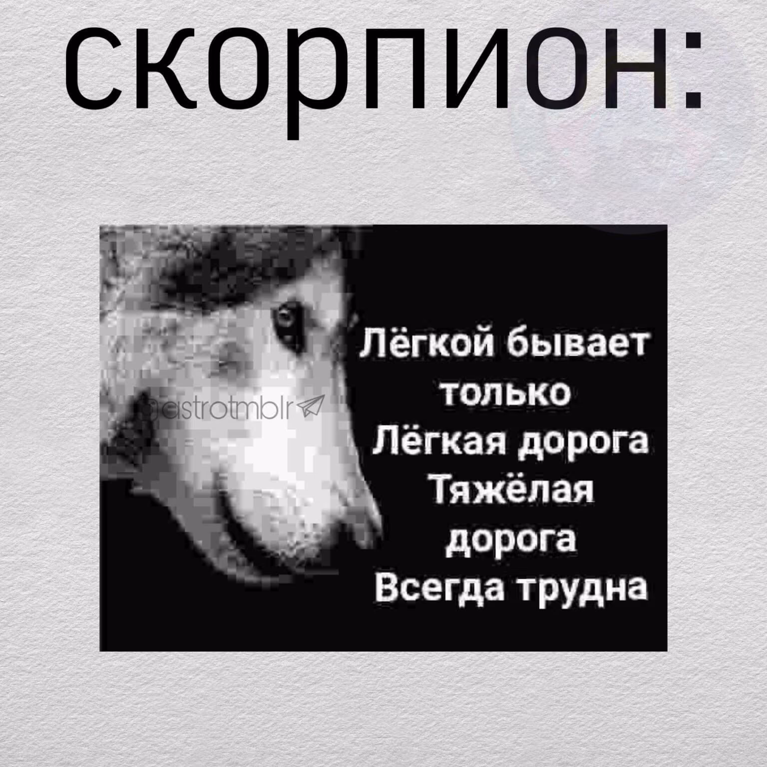 73b8d0fb97188a70ca658e808924c0ef.avif