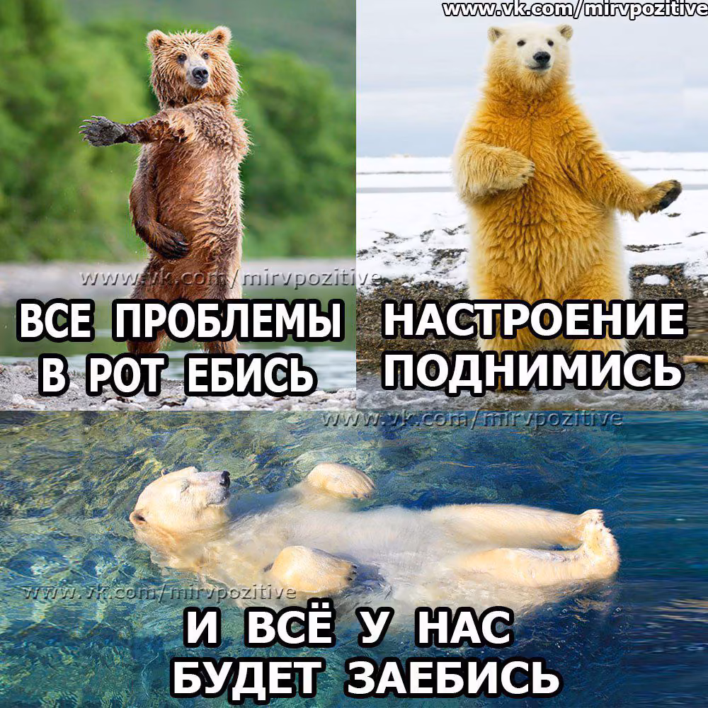 73bd377acc579f4f7535d9afbc326cd9.avif