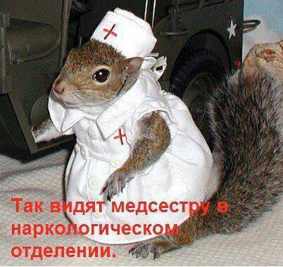 73c2b3c539e989d9d540fc01fe930357.avif