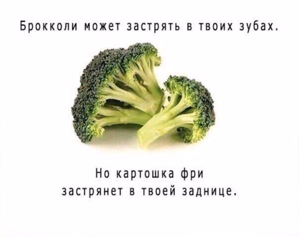 73c3c379d94e62cce935b2df7f283db5.jpg