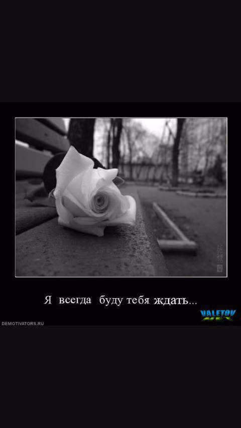 73cbe5552904db5da134b143f811f2dc.jpg