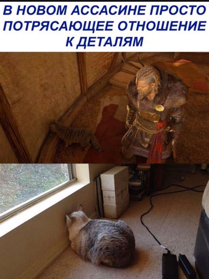 73e7156e7a27247813dd24eb5d968cd2.avif