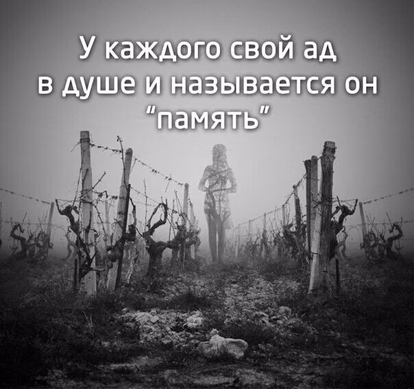 74012c33d15fc4e030a6a8ca31ee1a30.jpg