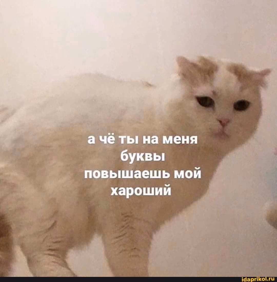 7409365f802eda24841da45200ac588e.avif