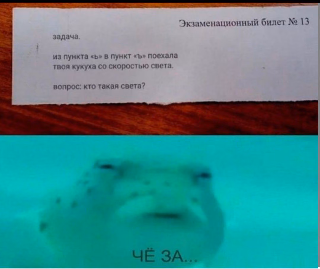 741910f64398ead6d8113845d4ac0a73.avif
