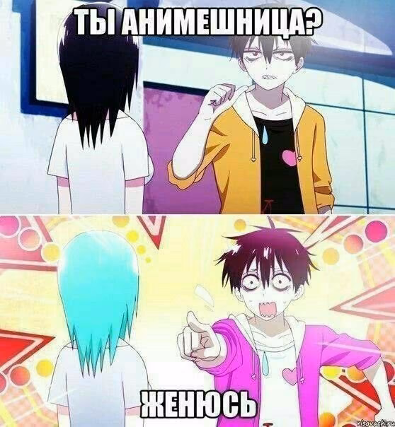 741b638e9eae4cf808b838fec94d1003.jpg