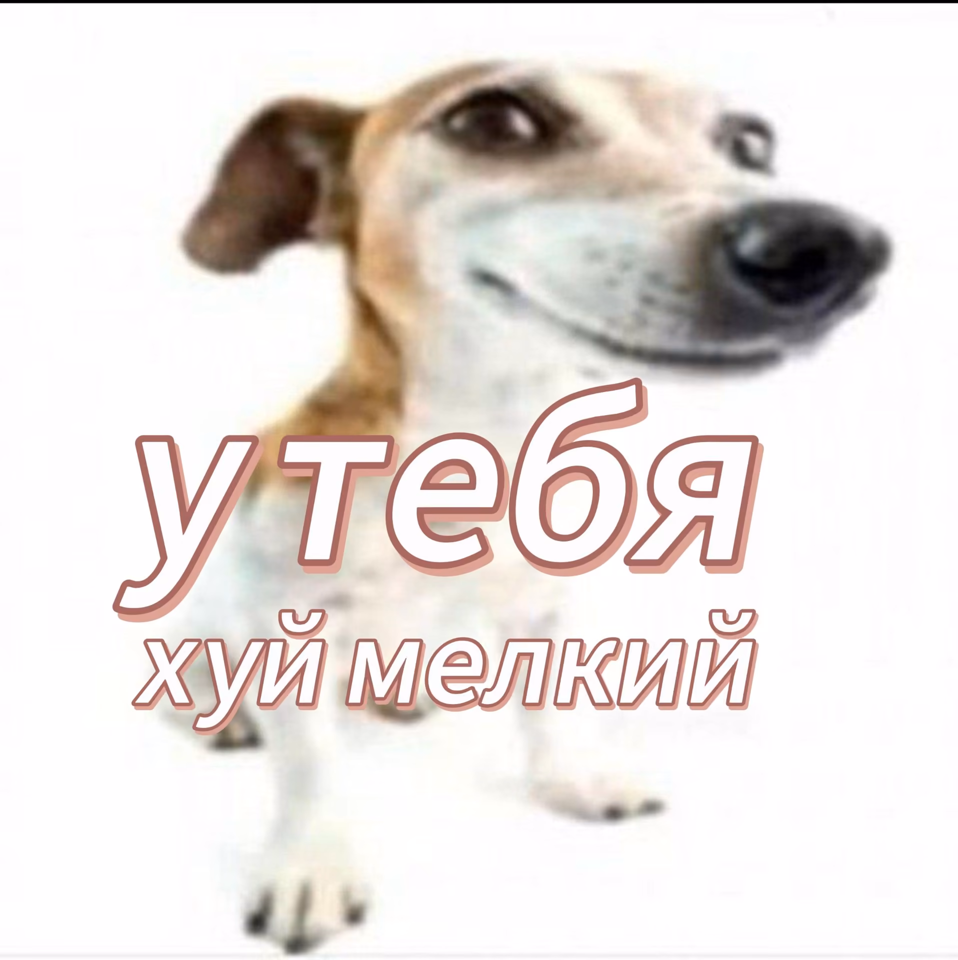 741ccd9bab91d17fb1ce011b2d96147b.avif
