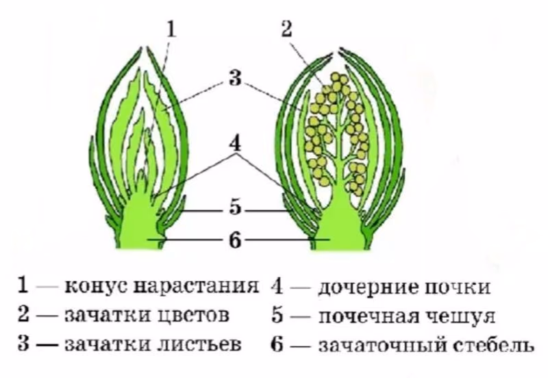 741dfaf580c8d37c74139d3c41210bca.jpg