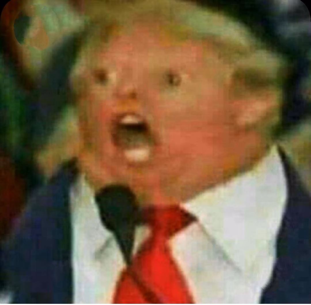 741f36a84c474bf35eab1bf6d3da713e.avif