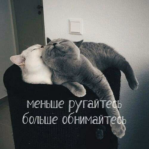 7422c6eff7f200bf26e85407bc6f1b62.avif
