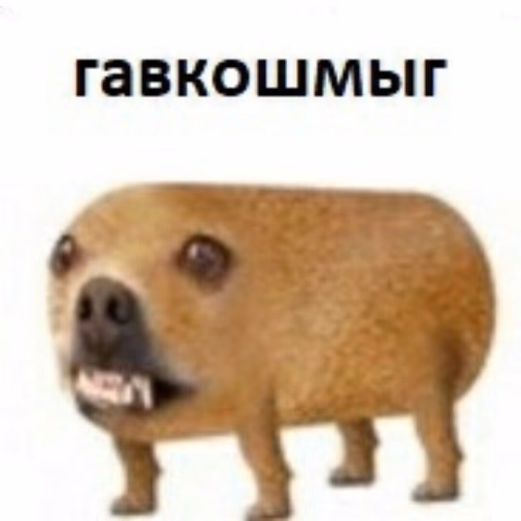 7438ac5ef4b1d88c3c6b09e4835e5d24.jpg