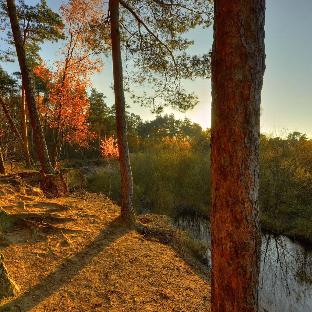 743d5d22c1789078cc033367b522d382.jpg