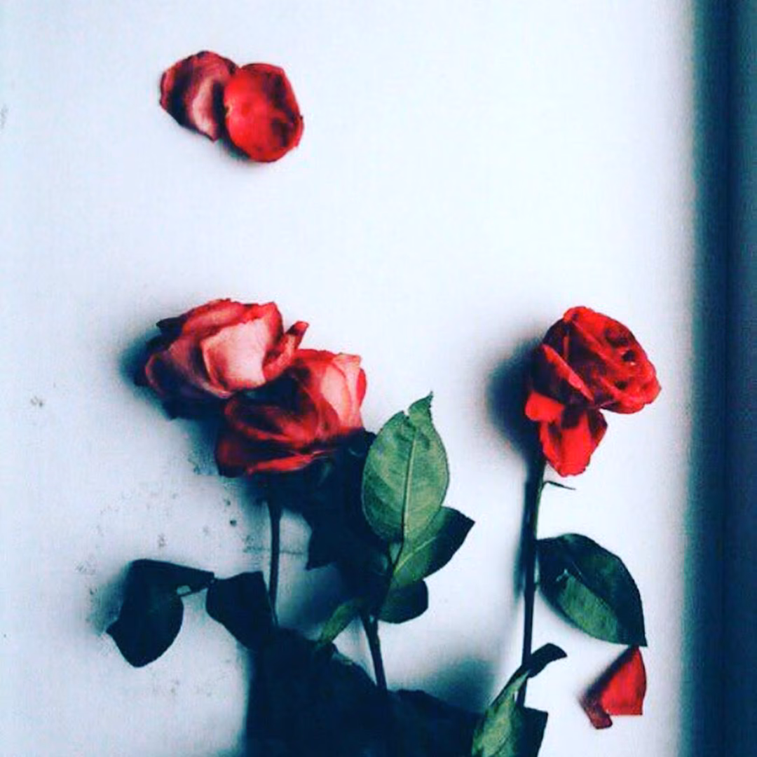 744464016c77354a63a83abd4b091e74.jpg