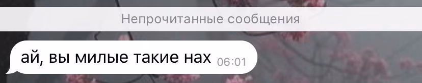 74581085ba6d0eeb77155a9c4b63646e.avif