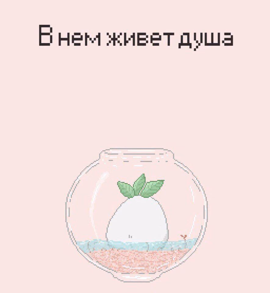 746014150004515a7d5b51e2387d014f.jpg