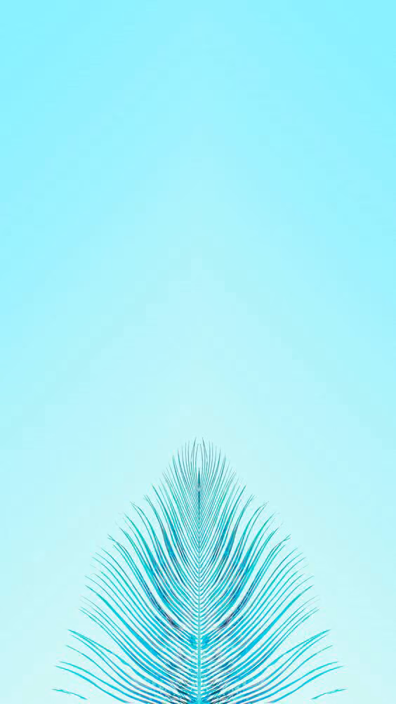 746569df4f537419a4f4c799c8bddc8f.jpg