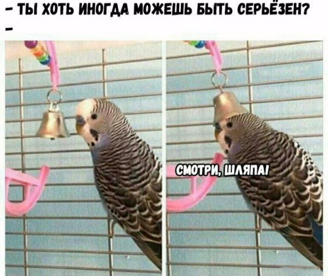 746ae466766aea6799355f79877beb0a.jpg