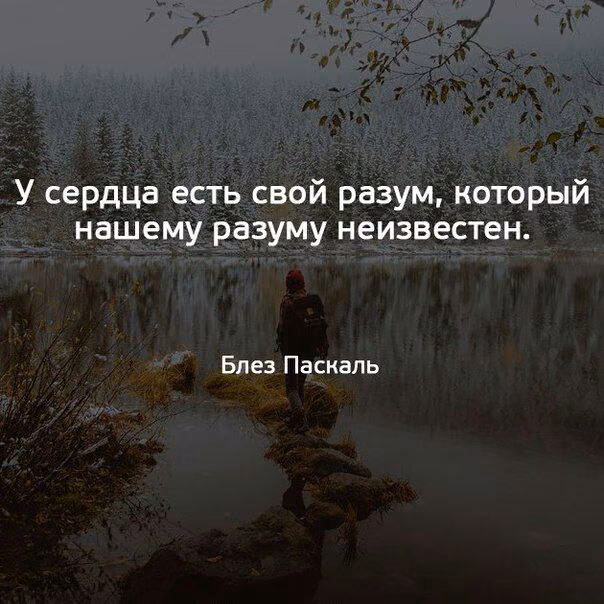 747d12c4a78ff0d9d00eb93fd50e942a.jpg