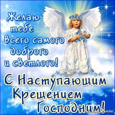 7481dd490dca45742f4371706d94cb79.avif