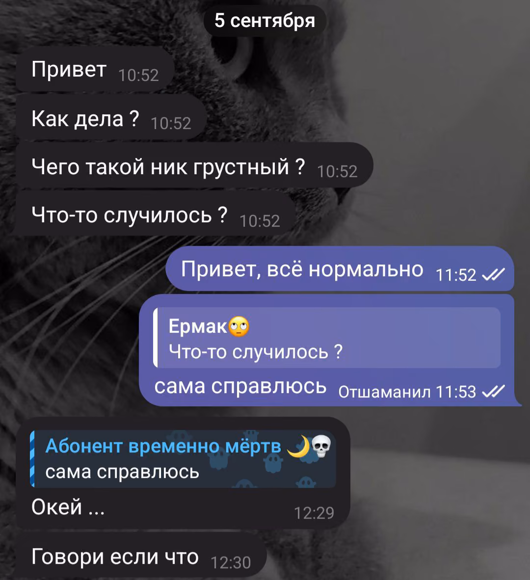 7483c68c85859cc08dd4f31a173cd906.jpg