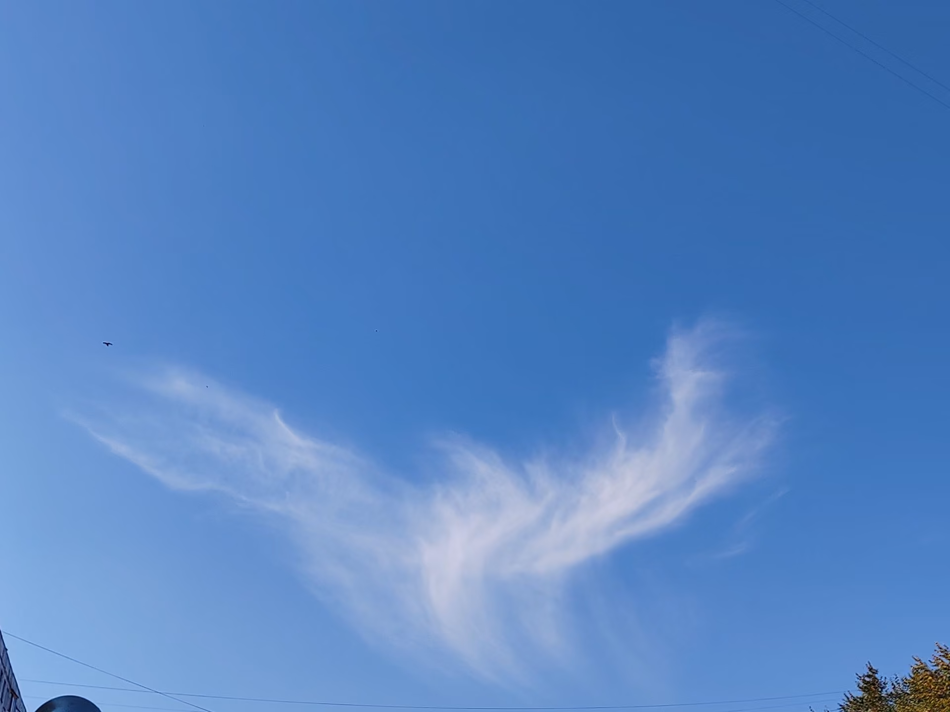 748824eb3326b043df2f3bd383cfd4fd.jpg