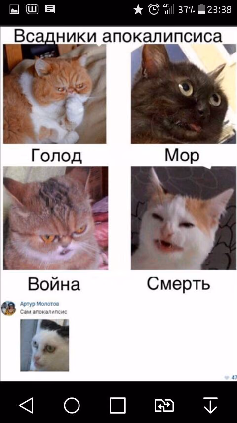74a36fb6d370fcae779ce2cd97f952f3.jpg