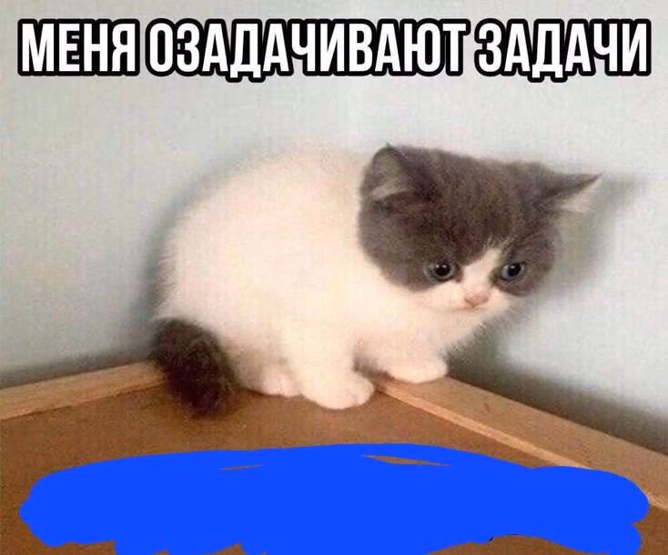 74a4a15705526131cd08ae1900673059.jpg