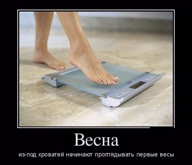 74a6b39e1429eec3f579cd03b95bb9f4.avif