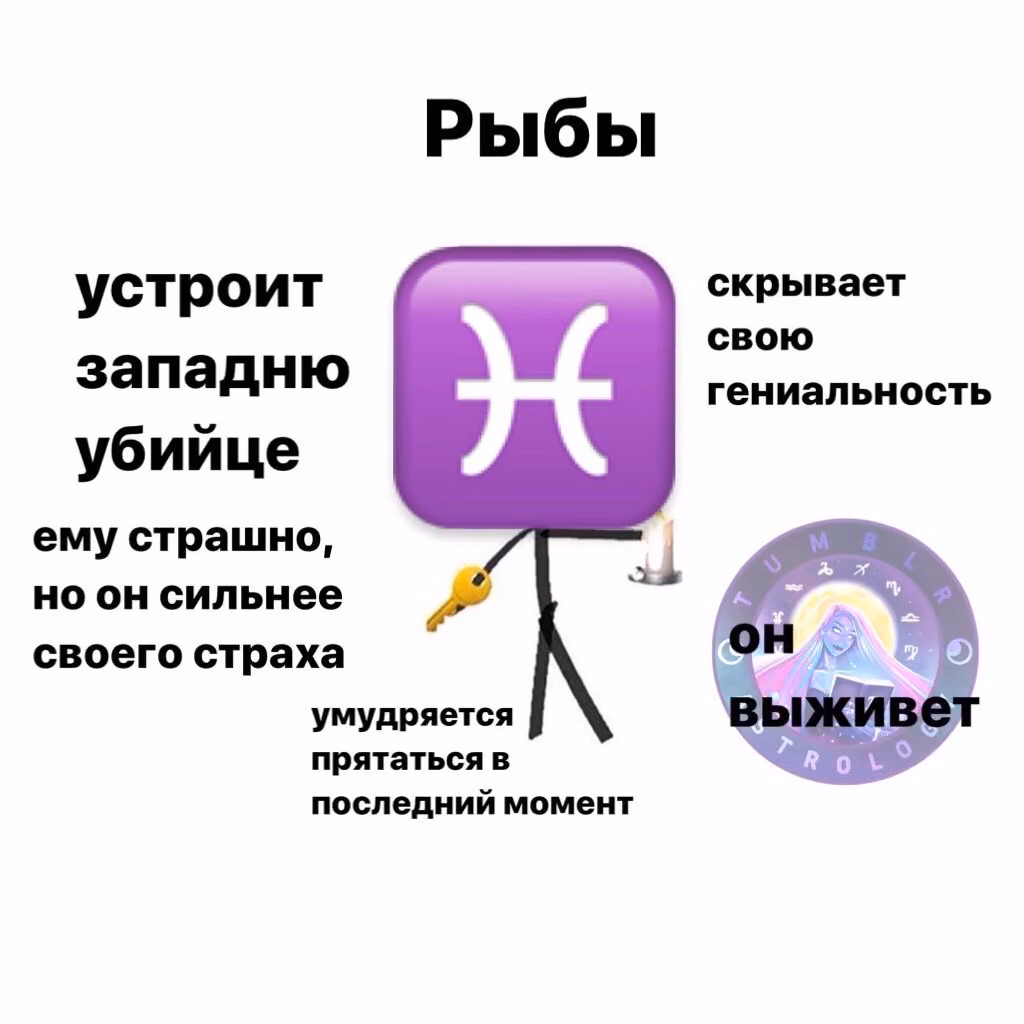 74b253ce03877a210fda884e95c77b3a.avif