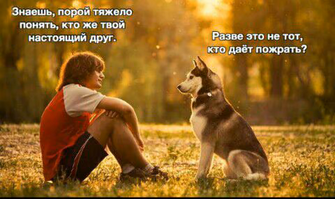 74b944c9ea28a98ff3475221eb80d820.jpg