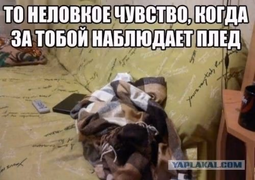 74bfd886d22b60f7eb6d211398790e85.avif