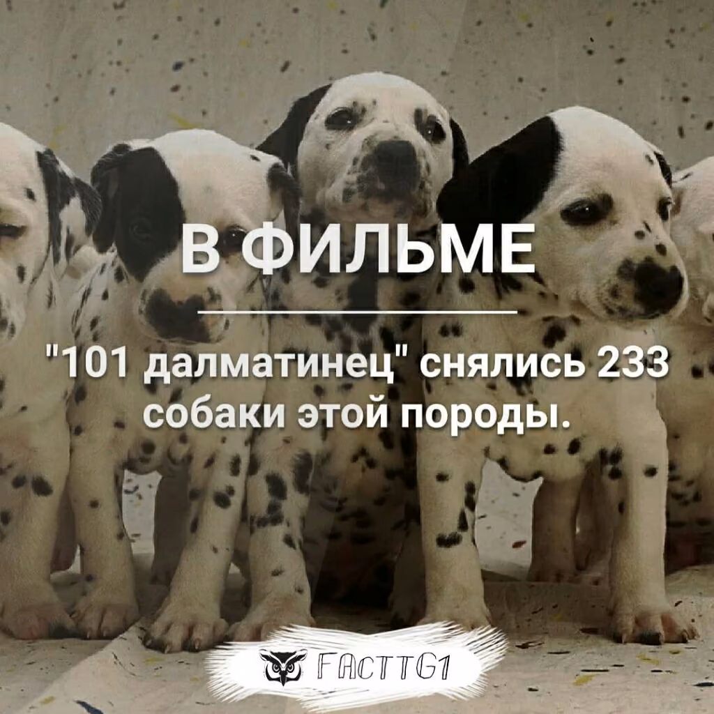 74c469d88ce091b86b266ff3bd81463b.jpg