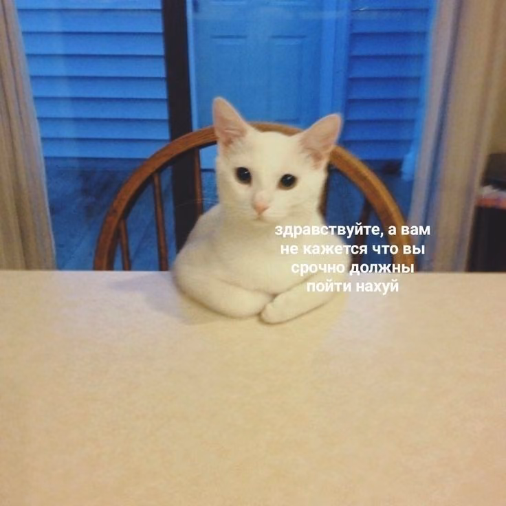 74f5855979501b65f2fc9271673e565d.jpg