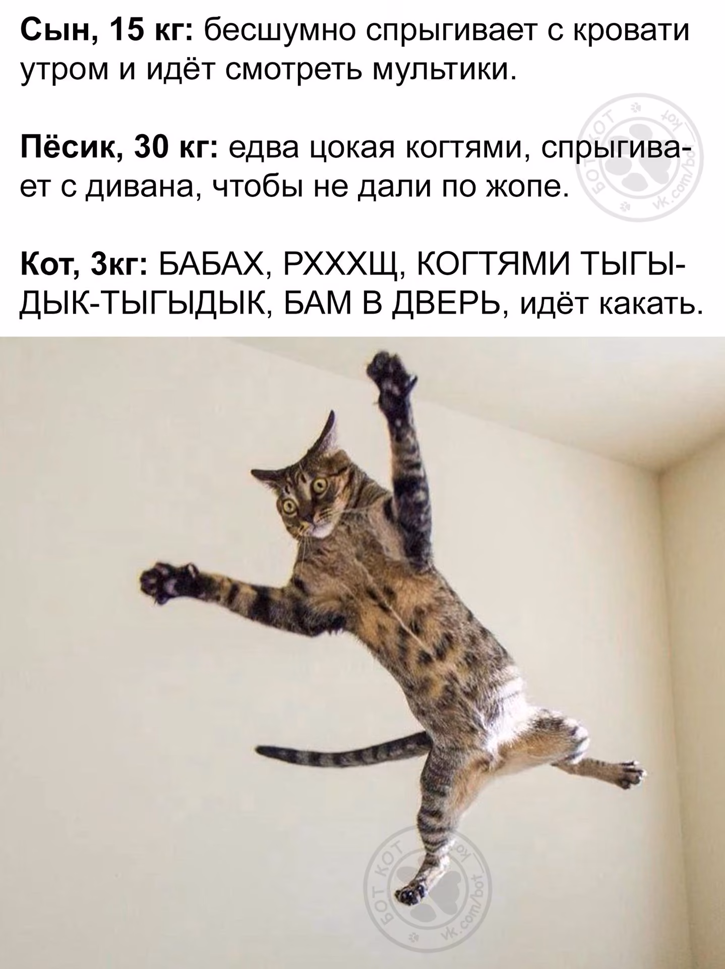7519b2546749ec1ebd7d7c6d51895b7b.jpg