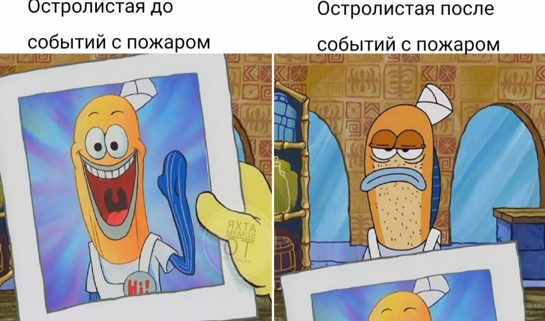 751f120c1fda5aec3343710afba26abd.avif