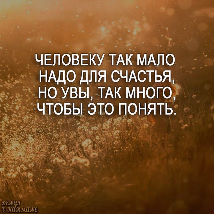 75405a28ce81d938464bb9ddc81a26f1.jpg