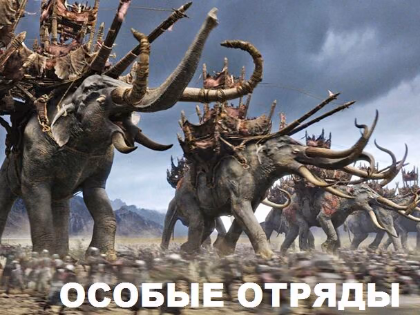 75642ee22c0b8b8601b0d4ac28feacbf.jpg