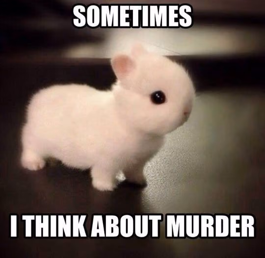 75707143c259446eb6d3363ca54e8316.jpg