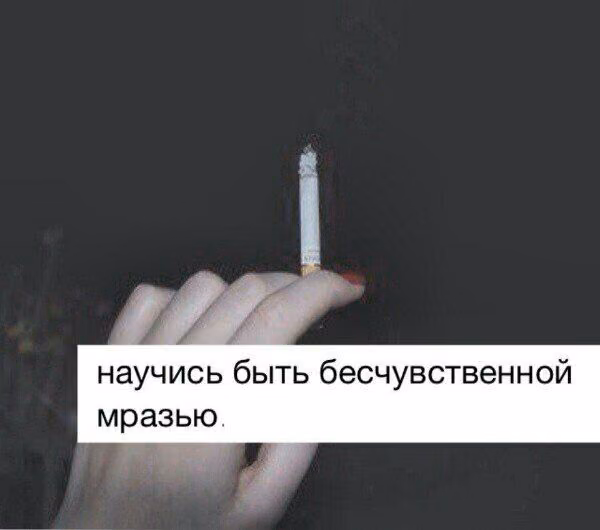757adcfa45085923a926420d82ea1ab6.avif