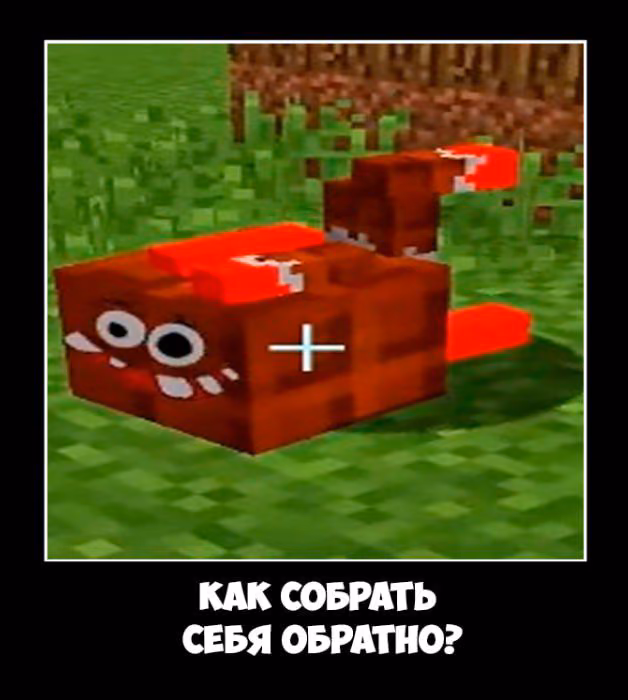 759911f6ce4ba0ac6bbc914609c09ef0.avif
