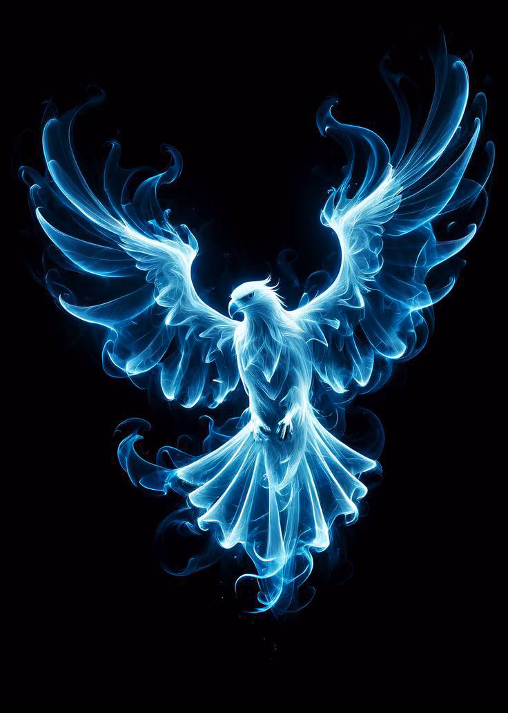 75a249367642e2bb23d36ec9f241f3d0.avif
