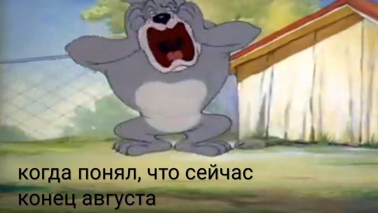 75b78a9c1641325ae0119c7373d8f9e2.jpg