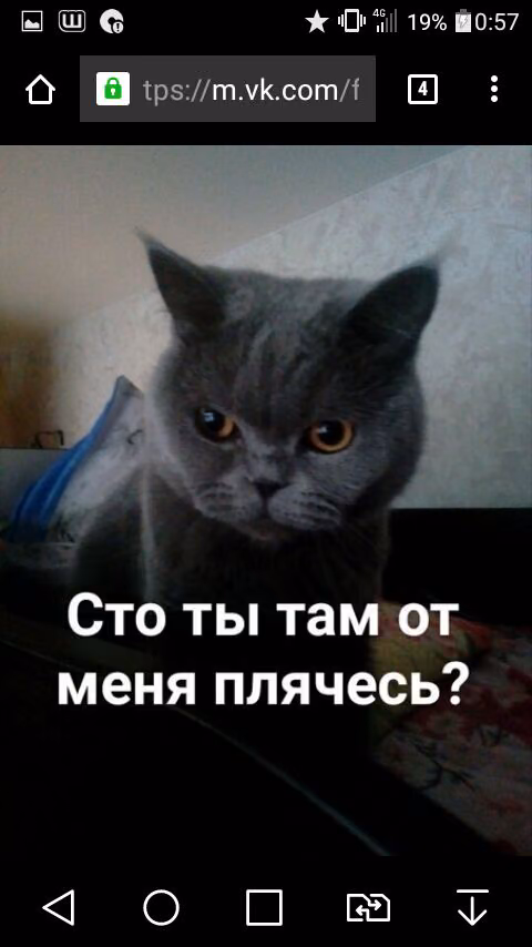 75dffefe936a760ad65695ded19565d4.jpg