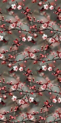 75e4b8fba80f52711d2435083ab1a214.avif