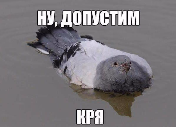 75ed1f15280ce14bb3fa97decf12aff6.jpg