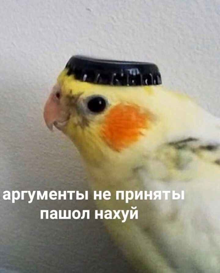 75f721e38715f9acd7eac849b7cc4625.jpg