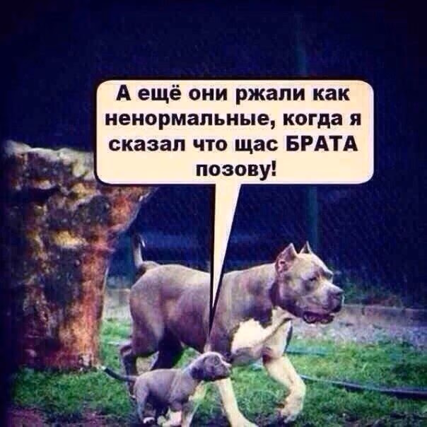 76120e2f9397aae8e1f1acdda88248be.avif