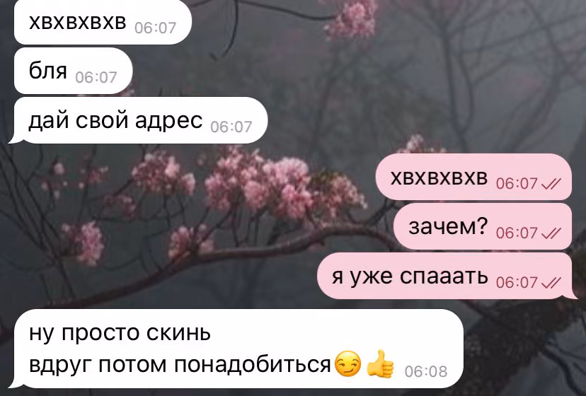 7615537579a1fea6d365471d995b50a3.avif